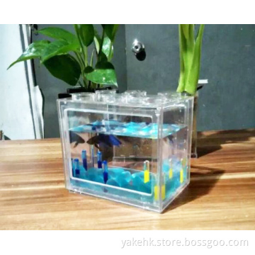 hot sale wholesale Factory price Aquarium tank fish